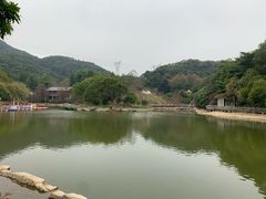 -广州市帽峰山景区