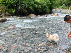 -西岭雪山大飞水景区