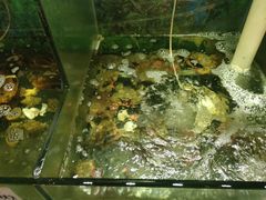-蓝珊甄选海鲜自助·火锅大排档(近阿那亚店)