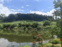 -中国科学院西双版纳热带植物园