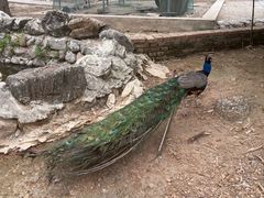 -丽泽山庄·生态怀柔菜·虹鳟鱼(红螺寺店)