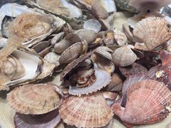 -山东八大碗山东老字号