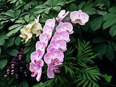 -兰陵国家农业公园