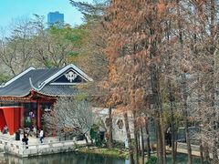 -顺峰山公园