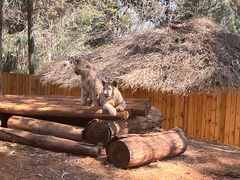 -云南野生动物园