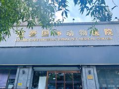 -宠爱国际维尼动物医院·疑难骨科·神经外科·肿瘤科(丰潭路店)