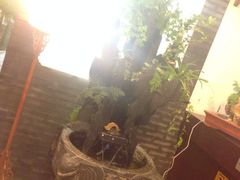 iphone_upload_pic-杨家火锅(国美店)