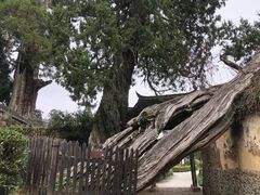 -云中大漈