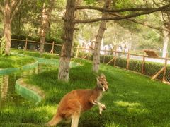 -北京野生动物园