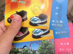 -上海海湾国家森林公园