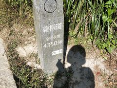 -梧桐山风景名胜区