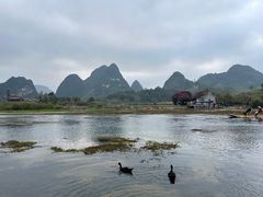 -靖西鹅泉风景区