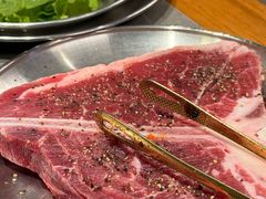 -杨小佳·齐齐哈尔烤肉·烤串(广州店)