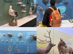 -国家自然博物馆