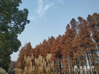 冬天到了，春天还会远吗