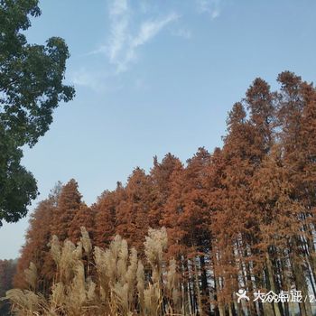 冬天到了，春天还会远吗