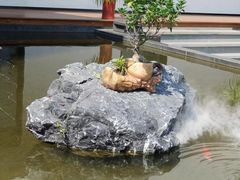 -雅苑中餐厅