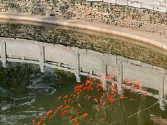 -宝通禅寺