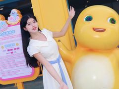 -海合安成都极地海洋公园