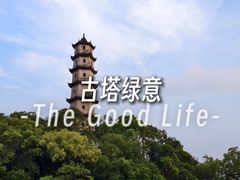 -江心屿景区