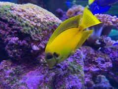 -上海海洋水族馆
