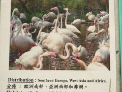 -九龙公园