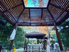 -春晖园度假酒店温泉