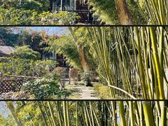 -春晖园度假酒店温泉