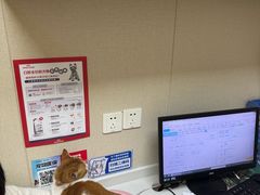 -安安宠医宠物医院·异宠·犬猫内科(岳阳分院)