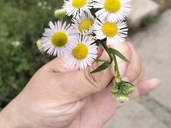 -西部长青自然儿童乐园