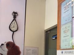 -瑞派申生动物医院·24H夜诊·国际动物医疗中心·骨外科(吴中路店)