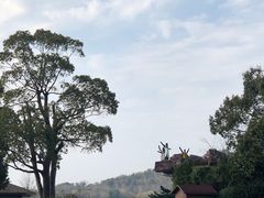 -上海月湖雕塑公园
