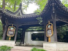 -富春茶社(国庆路店)