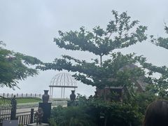-亚龙湾热带天堂森林公园