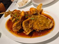 -金春禧(世茂国际广场店)