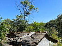 -南窖乡水峪村山情农家