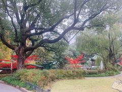 -申粤轩酒楼·三十年粤菜经典(丁香花园店)