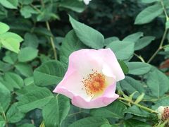 -人民公园(罗湖区)