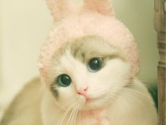 -水月·和牛工坊(水晶郦城店)