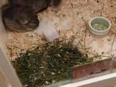 -龙猫仔乐园(惠福东路店)