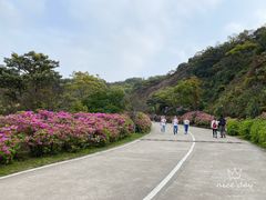 -梧桐山风景名胜区