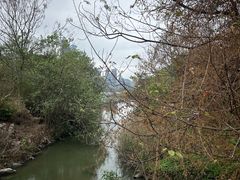 -华侨城湿地公园