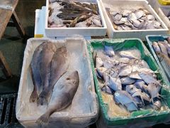 -芦潮港集贸市场