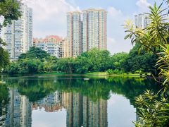 -晓港公园