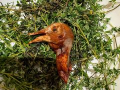 -蔡澜点心·粤菜(嘉里中心店)
