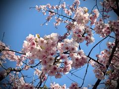 -老瑞福上海菜(人民广场店)