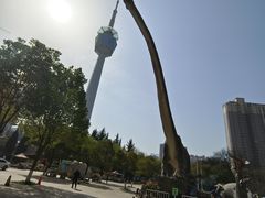 -陕西自然博物馆