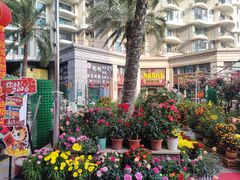 -碧桂园十里银滩