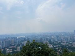 -南山植物园