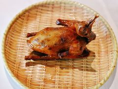 -光明小镇欢乐田园